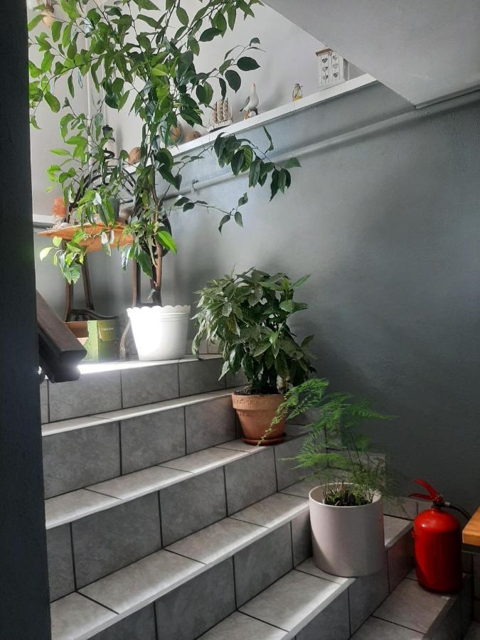 Pokoje Goscinne Cuma 莱鲍 外观 照片